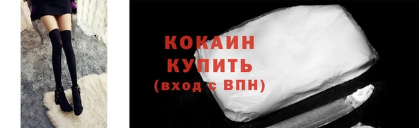гашик Арсеньев