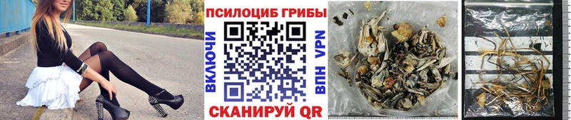 Купить  Голицыно  Галлюциногенные грибы GOLDEN TEACHER 